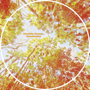 Above The Canopy — Cacophaction