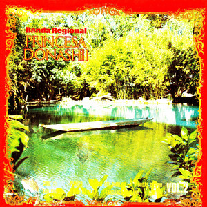 Banda Regional Princesa Donashii - Fandango tehuano