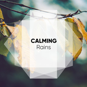 Calming Rains album