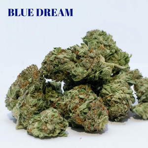 Blue Dream by Sōra