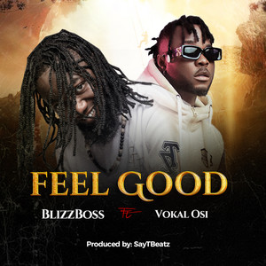 Feel Good - Acoustic by Blizzboss, Vokal OSI