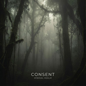 Minimal Realm by Consent