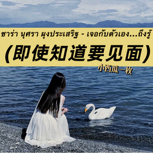 ซาร่า นุศรา ผุงประเสริฐ - เจอกับตัวเอง...ถึงรู้ - 即使知道要见面 by 小西瓜一枚