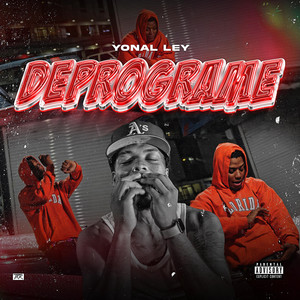 Deprograme by Yonall Ley