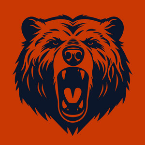 Bear Down, Chicago Bears