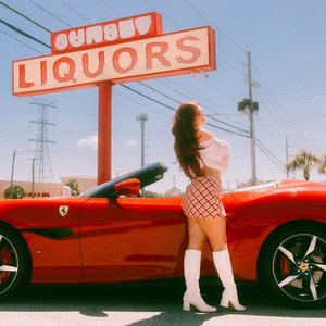 Miami Vices by Cloe Wilder