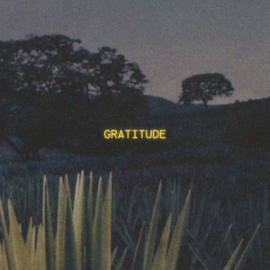 Odyssybeatz - Gratitude