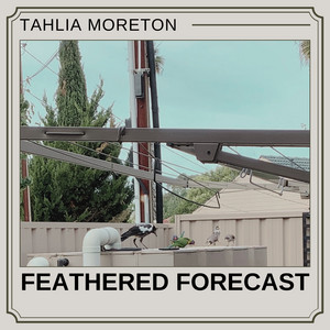 Feeder Talk by Tahlia Moreton
