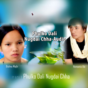 Phulko Dali