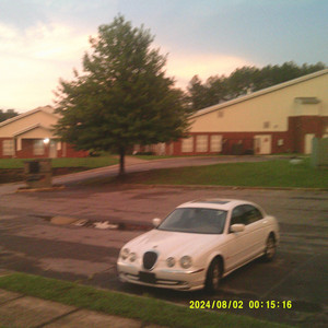 Alcestis - Just For You