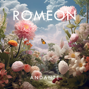 Andante by Roman Alder, Romeon