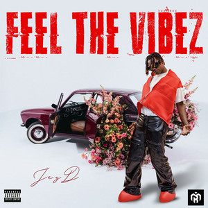 Feel The Vibez by JeyD