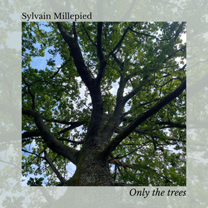 Only the Trees by Sylvain Millepied