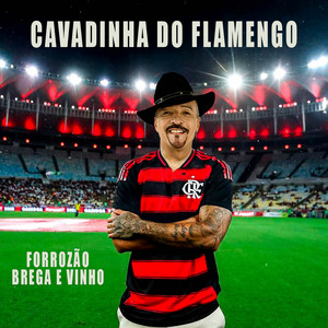 Forrozão Brega E Vinho - Cavadinha do Flamengo