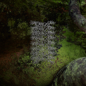 album cover: To All That Cannot Be Undone