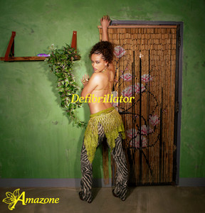 Defibrillator by Amazone