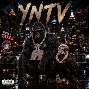 YNTV by Joe Green, Ola Playa
