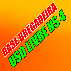 Base Bregadeira Uso Livre Ns 4