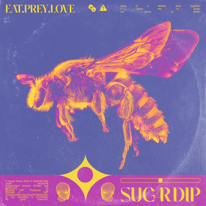 Fly By Night Lover