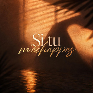Si tu m'échappes by eleven, crysis
