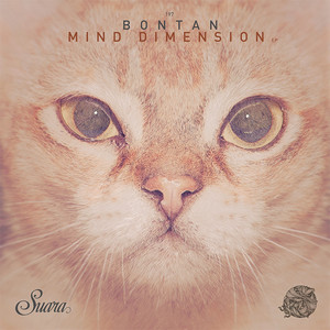 State of Mind by Bontan