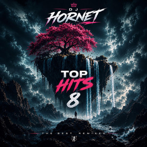 Top Hits 8 by DJ Hornet