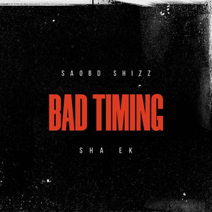 SAOBD Shizz poster