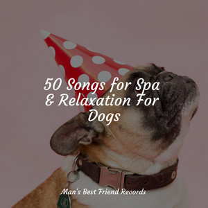 50 Songs for Spa & Relaxation For Dogs album