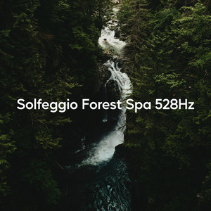 Solfeggio Forest Spa 528Hz