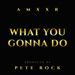What You Gonna Do by AMXXR, Pete Rock