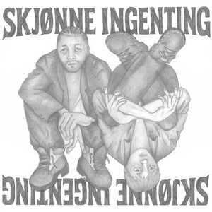 Skjønne ingenting