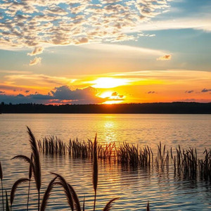 Jebee - Afternoon sunset