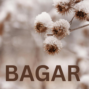 Basanta raj giri - BAGAR
