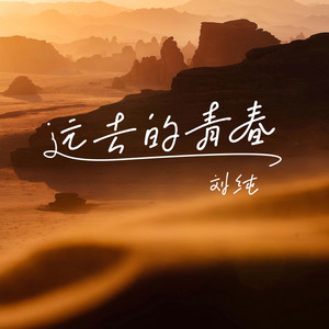 远去的青春 - DJ伯格版伴奏 by 刘纯, DJ伯格