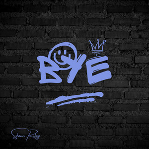 Bye - Cover by Shaun Riley