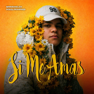 Si Me Amas by Brandmelek