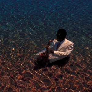 Kelp Forest Sway by Nacht Affair