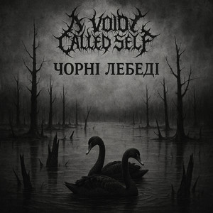 A Void Called Self — Чорні Лебеді