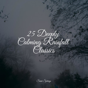 25 Deeply Calming Rainfall Classics album