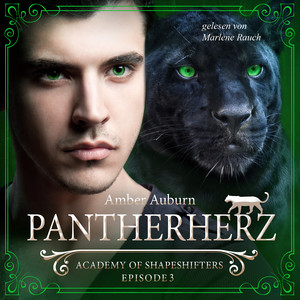 Pantherherz, Episode 3 - Fantasy-Serie (Academy of Shapeshifters)