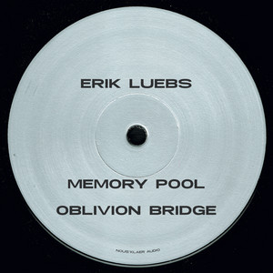 Erik Luebs — Reversing Time (2026)