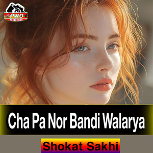 Shokat Sakhi - Cha Pa Nor Bandi Walarya