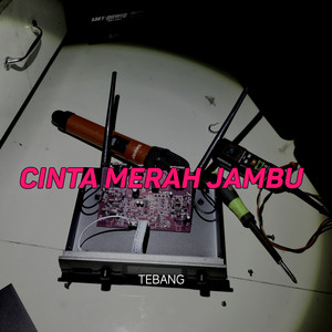 Tebang - Cinta Merah Jambu
