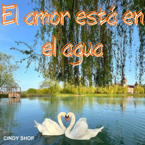 EL AMOR ESTÁ EN EL AGUA by LADY LUCI