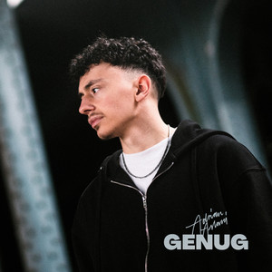 Genug by Adrian Aslani