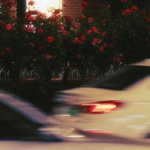 FUCHSIA - Slowed & reverb by FXRMLESS ENERGY