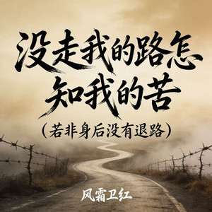 没走我的路怎知我的苦 (若非身后没有退路) by 风霜卫红