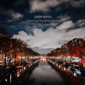 Following The White Rabbit