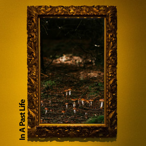 Sonidos Ambientales de Lluvia by Empty Islands