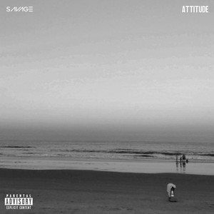 ATTITUDE (GO BEZERK)